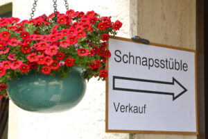 31.12.15 - wir haben geöffnet